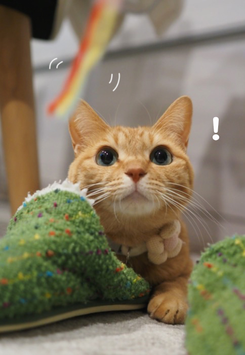 17日夕ブログ2
