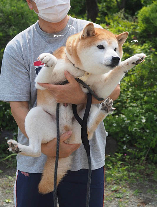 3日午後ブログ６