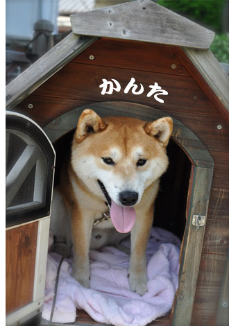 1日ブログ6.jpg