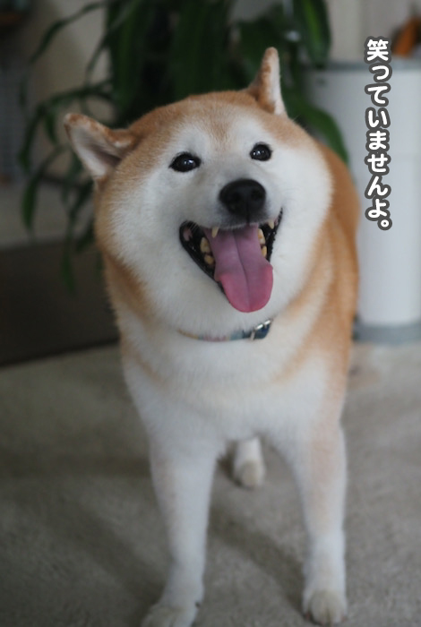 18日ブログ１