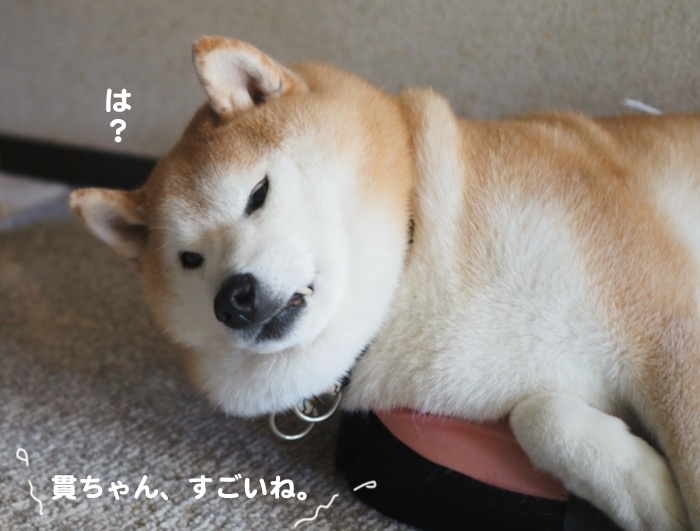 8日夕ブログ２