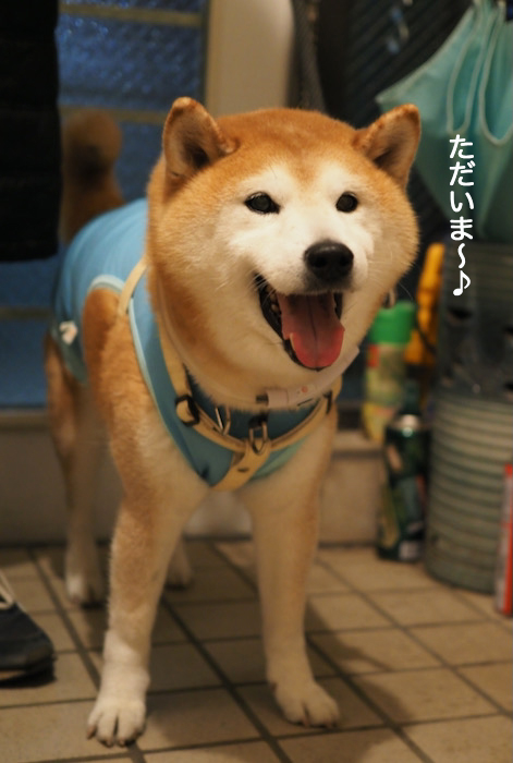 10日夜ブログ１