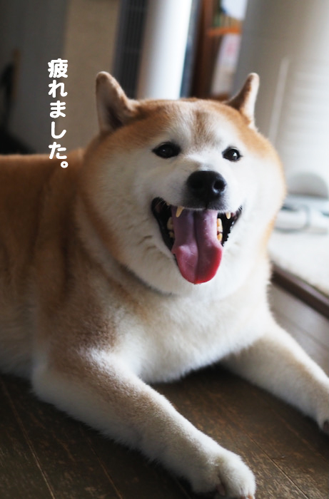 1日夕ブログ９