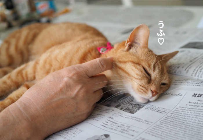 30日ブログ４