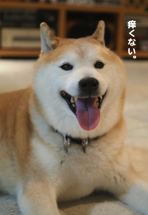 30日夕ブログ６