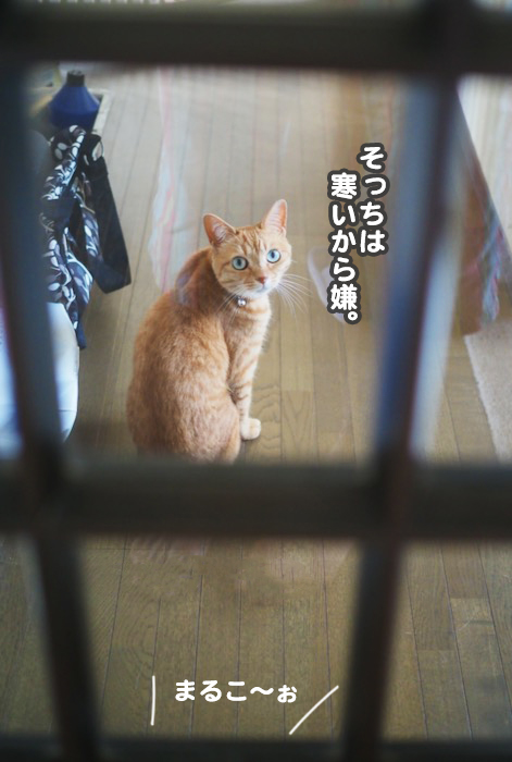 4日ブログ９