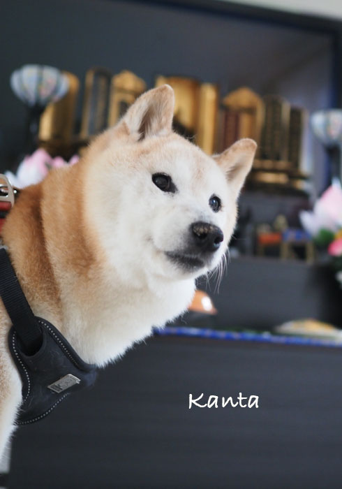 17日ブログ２