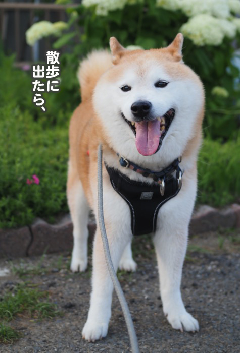 10日夕ブログ２