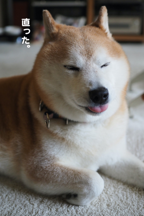11日午前ブログ７