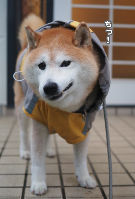 4日夜ブログ３