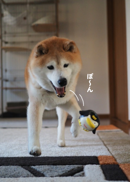 23日夕ブログ３