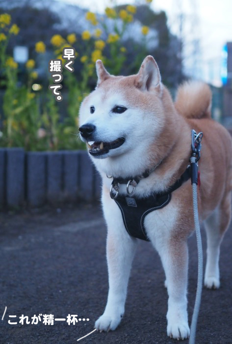 26日ブログ４