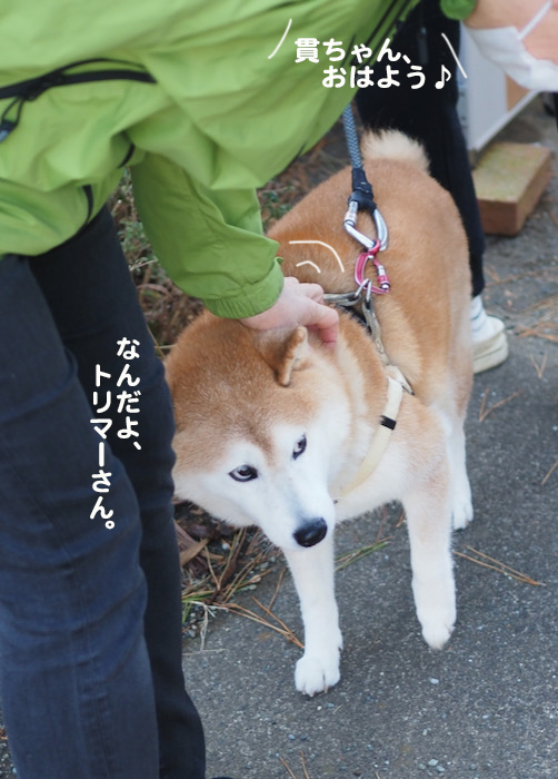 8日ブログ5