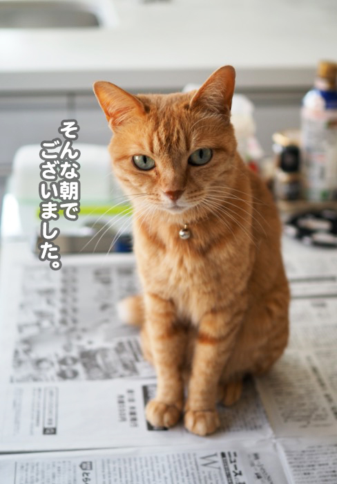 30日ブログ１０