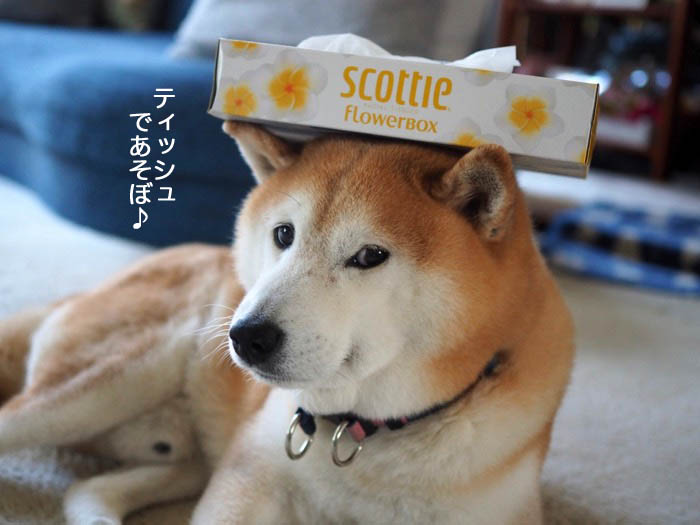 10日ブログ３