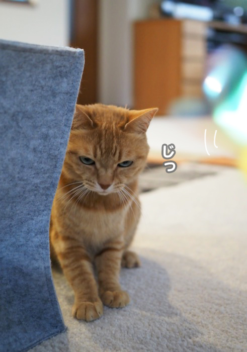 24日夕ブログ７