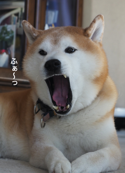 29日夜ブログ６