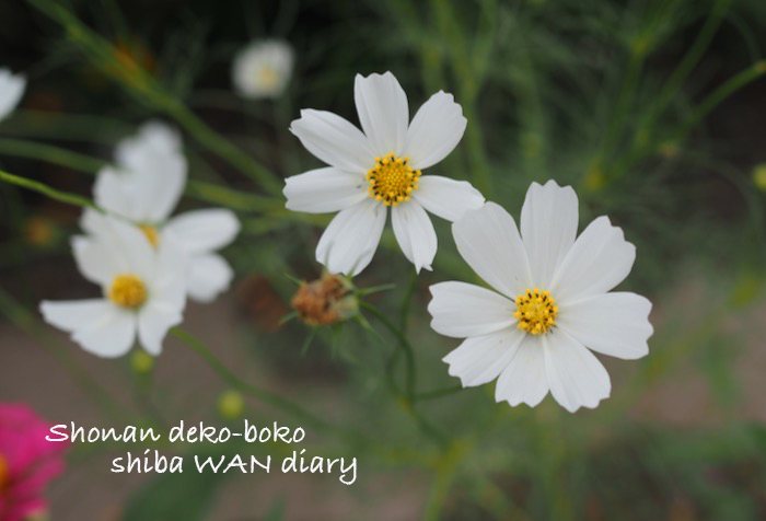 14日夜ブログ１