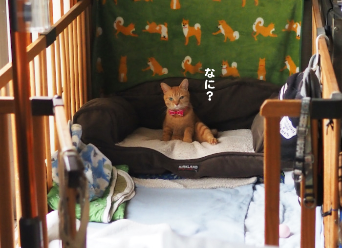 21日ブログ２