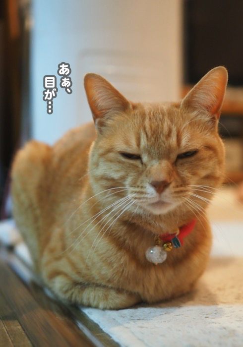 31日ブログ３