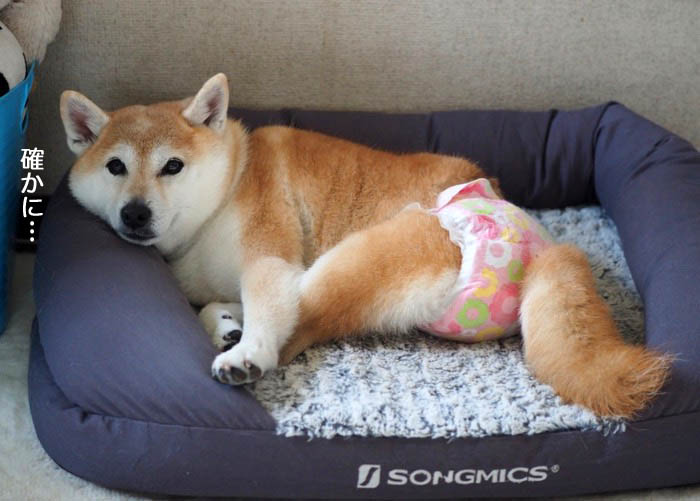 5日夜ブログ２