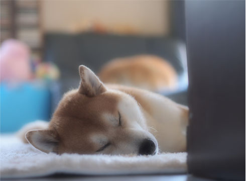 29日ブログ14.jpg