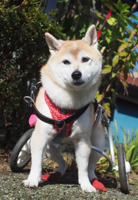 10日ブログ５