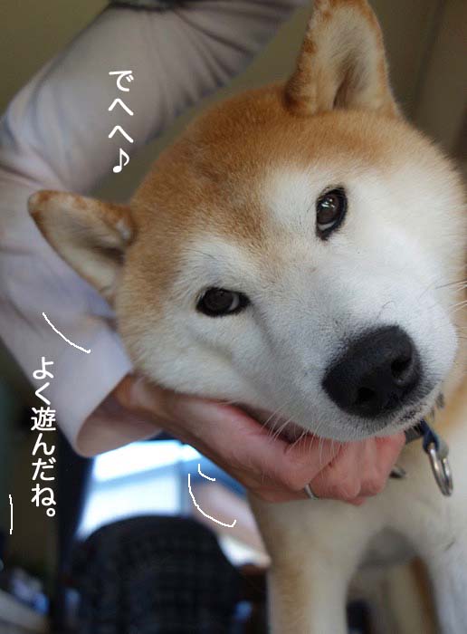 15日夜ブログ４