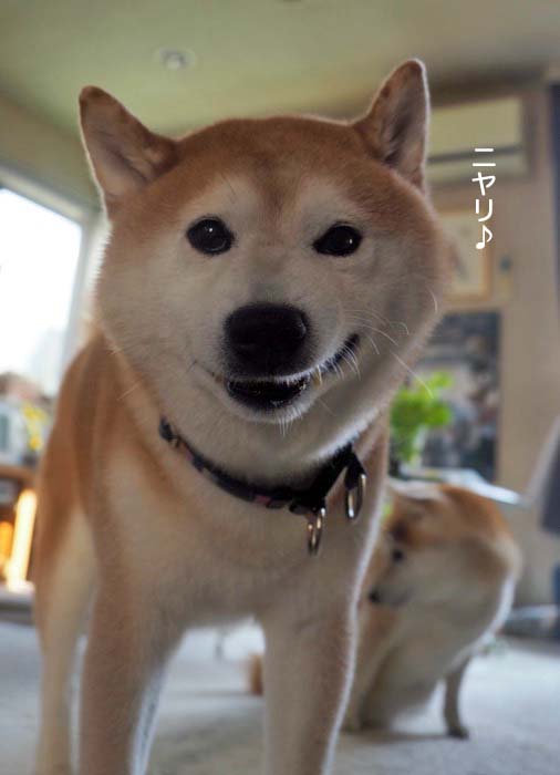 16日夕ブログ１３