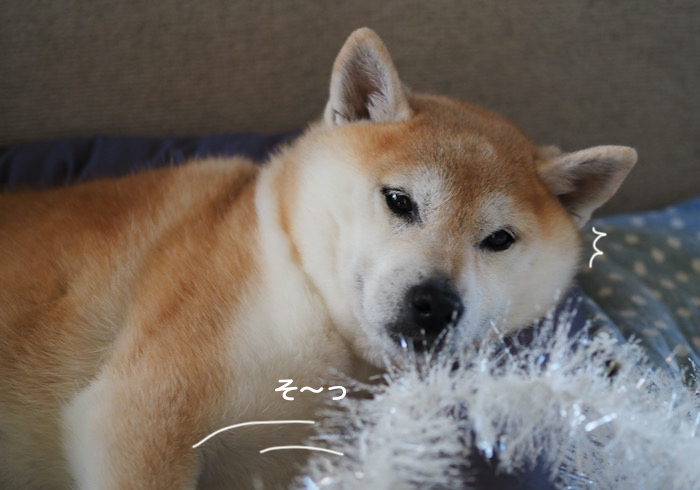 18日夜ブログ３