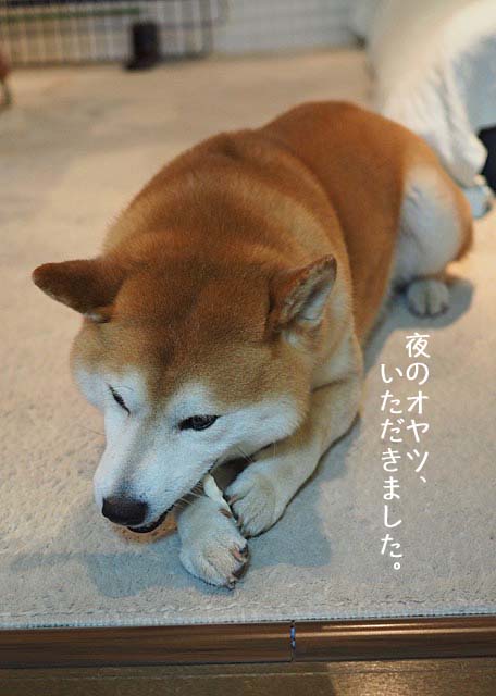 22日ブログ2