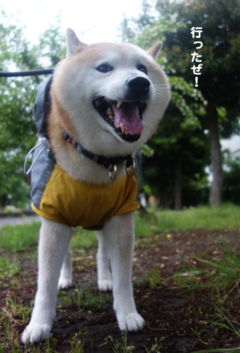 12日夜ブログ３
