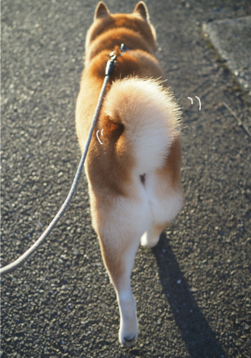 6日ブログ３