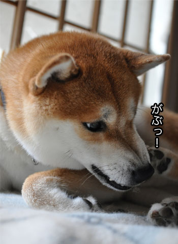 30日ブログ15.jpg