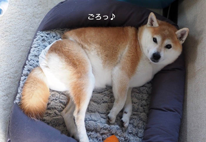 27日午後ブログ４