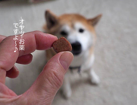 11日ブログ５