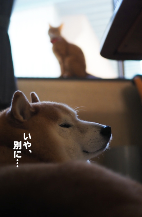 15日ブログ５