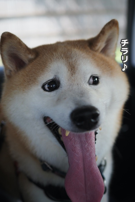 9日ブログ２