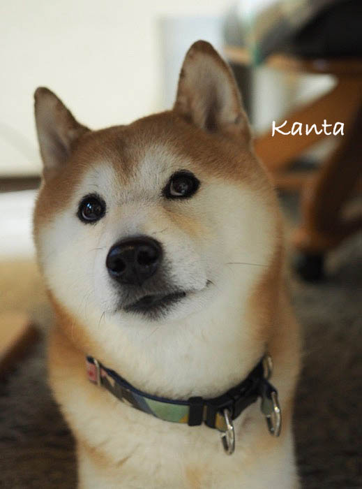 12日ブログ４