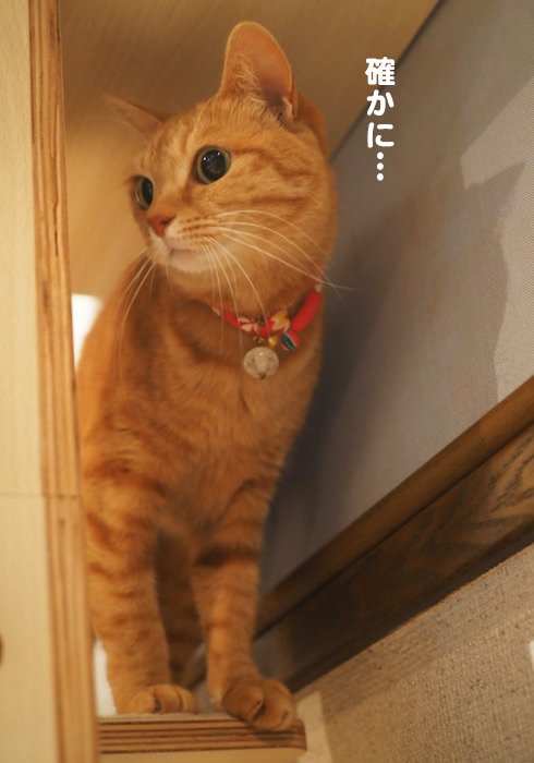 1日のブログ３