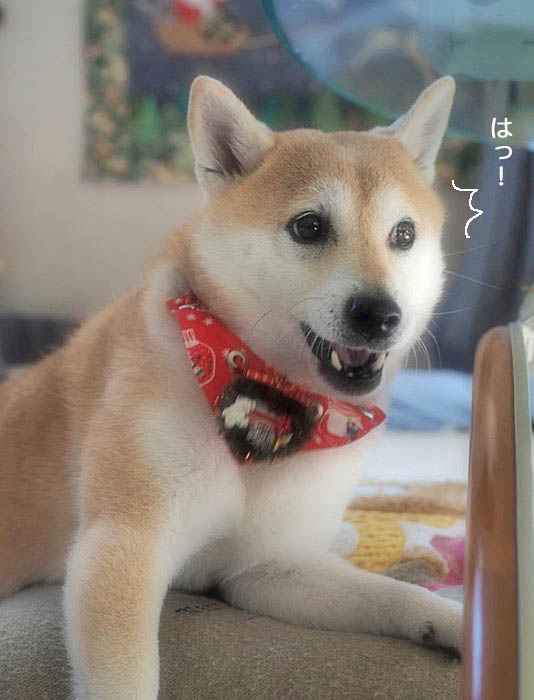 3日夕ブログ５