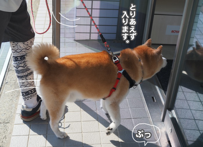 2日夕ブログ６