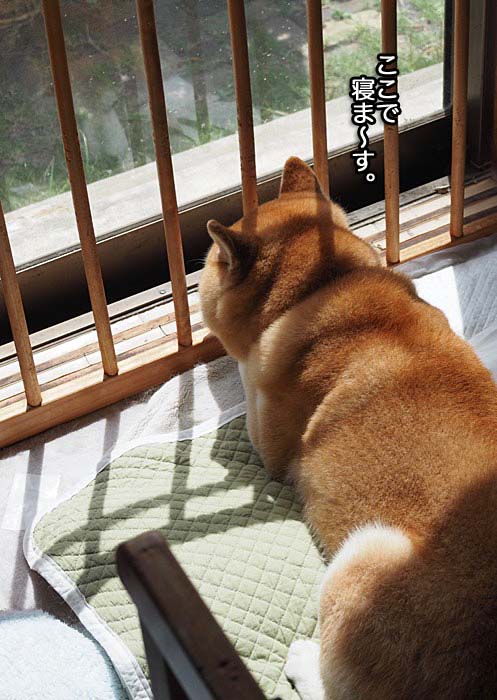 1日ブログ３