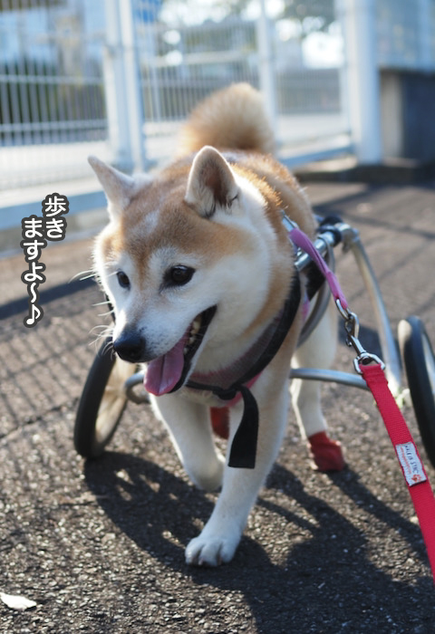2日夜ブログ５