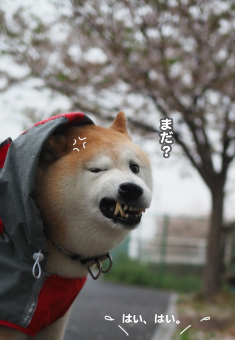 7日夜ブログ７