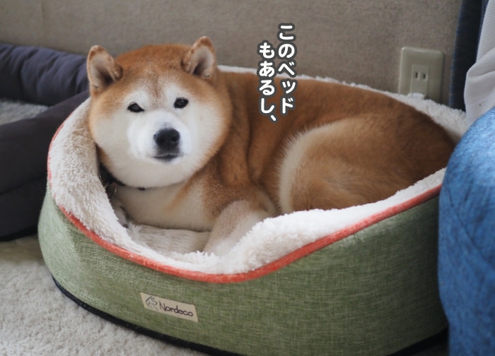 4日夕ブログ３