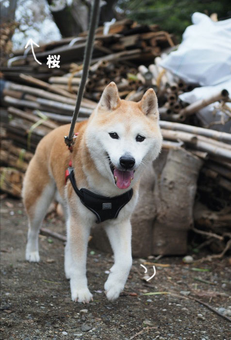 15日ブログ３