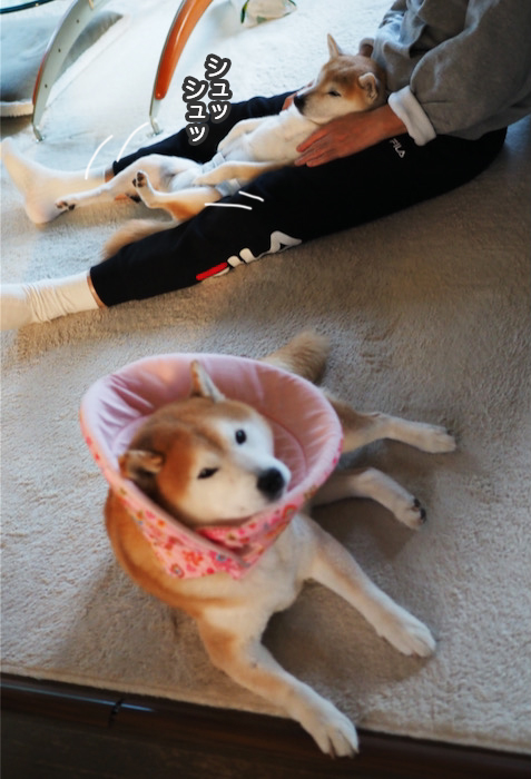 26日夜ブログ３