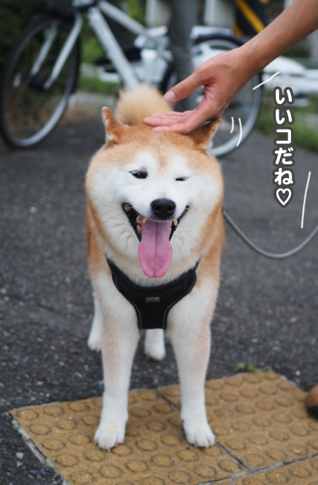 4日ブログ６