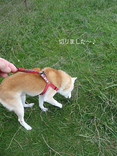 14日ブログ6